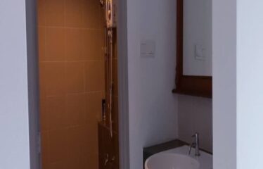 Horizon Hills @ The Hills Precinct – Superlink House ( Bumi Lot )