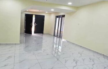 Taman Anggerik @ Jalan Anggerik – Low Cost