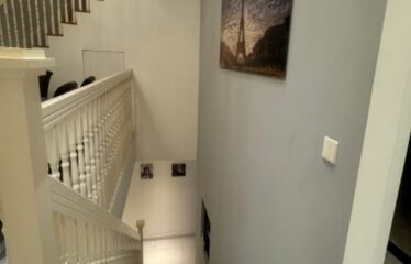 Eco Botanic @ Sandringham – 2.5 Storey Semi D