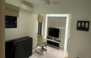 Eco Botanic @ Sandringham – 2.5 Storey Semi D
