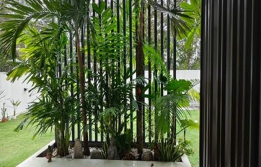 AVIRA Medini Iskandar – Terrace ( End Lot )