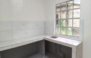 Taman Kota Masai @ Jalan Tembikai 4x – Low Cost ( Intermediate )