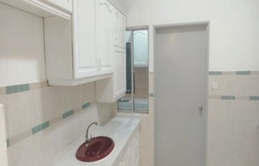 Taman Seri Austin @ Jalan Seri Austin 1/2x – Terrace ( Bumilot )