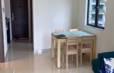 Forest City @ Starview Bay ( High Floor )