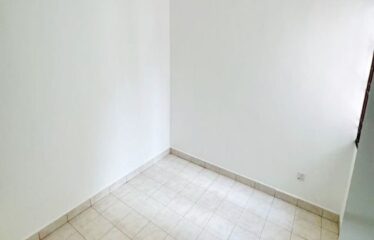 Taman Seri Austin @ Jalan Seri Austin 1/2x – Terrace ( Bumilot )