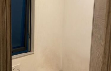 Ataraxia Park @ Forest City ( High Floor )