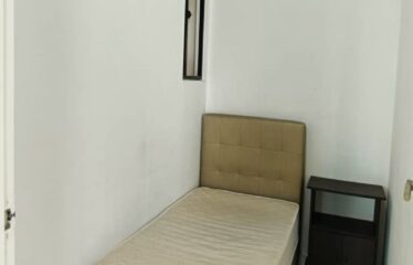Sky loft Premium Suites ( Sale / Rent )