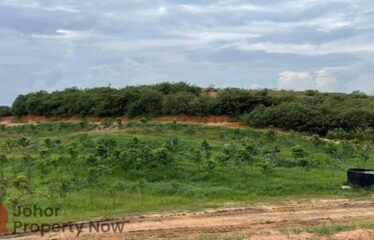 J8,Jalan Seelong @ Senai – Agricultural Land