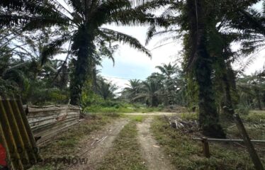 Ulu Choh @ Pekan Nenas – Land