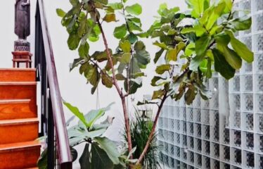 East Ledang @ Harmony Park – Terrace (Corner)