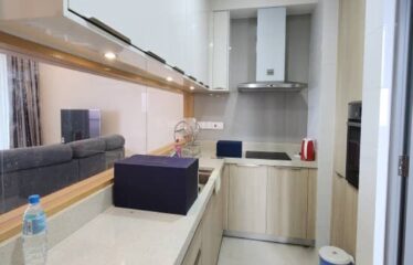 Southern Marina Residences ( High Floor )