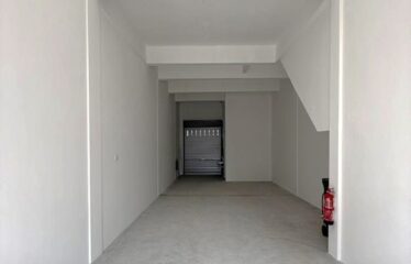 Eco Tropics @ Eco Avenue 2 , Masai
