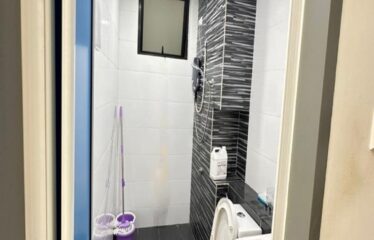 Citywoods @ Jalan Abdul Samad ( Mid Floor )