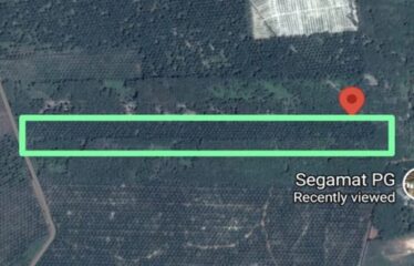 Tenang @ Segamat – Agricultural Land