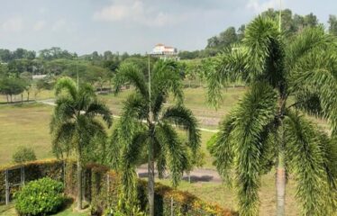 Ledang Heights