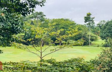 Horizon Hills @ The Gateway Precinct ( Sale / Rent )