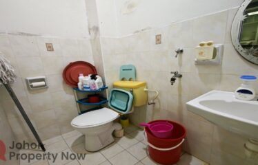 Taman Austin Perdana
