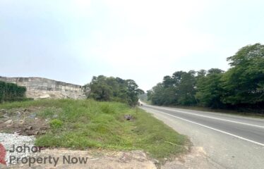 Senai @ Jalan Seelong – Agriculture Land