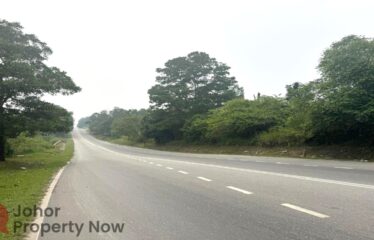Senai @ Jalan Seelong – Agriculture Land